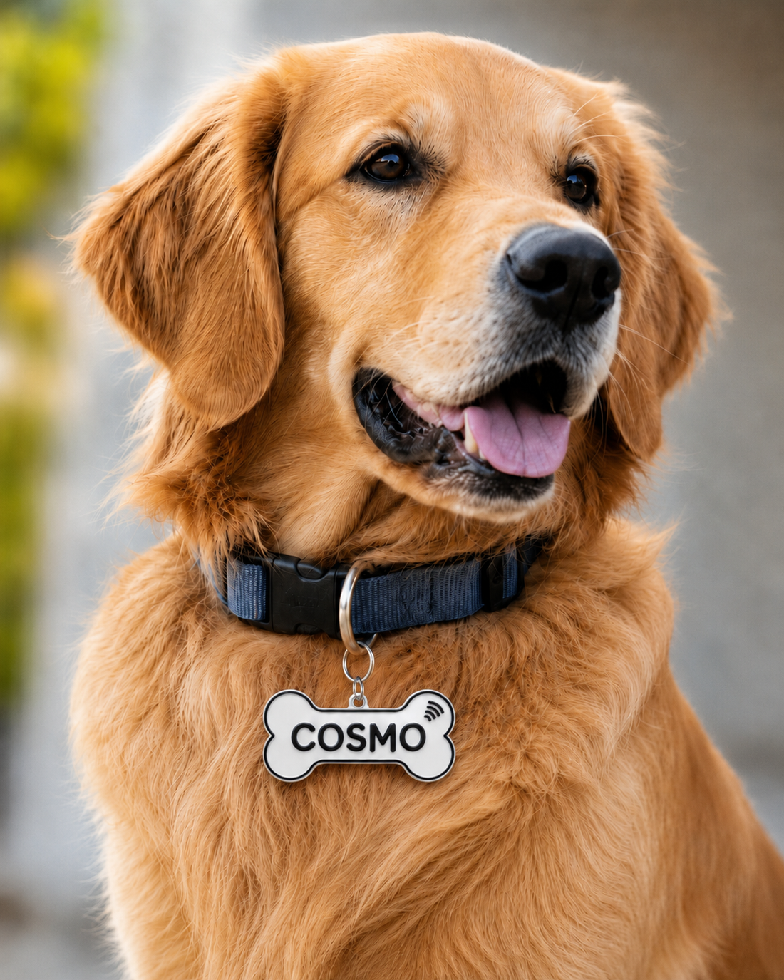 Personalised Dog Bone Name Tag – Custom Pet Locket Collar Tag (BRUNO)